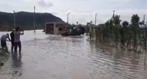 तेलंगाना में, कांग्रेस के सभी विधायक, सांसद, नगर निगम अध्‍यक्ष और सरकार के सलाहकार बाढ राहत गतिविधियों के लिए अपने दो महीने के वेतन का योगदान करेंगे   