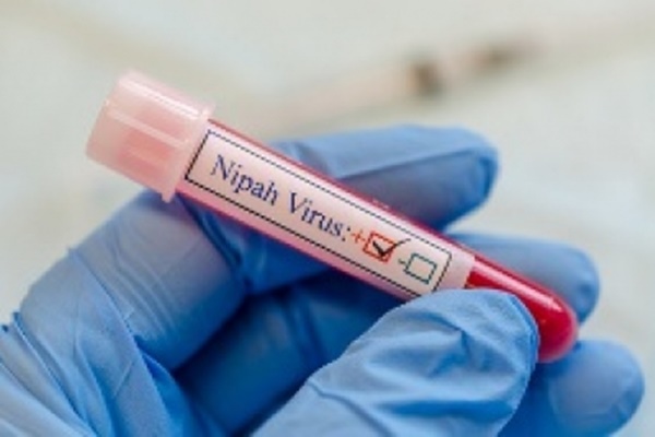 Kerala Declares 5 Wards in Malappuram as Containment Zones After Nipah Virus Death