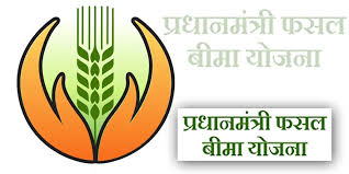 परभणी जिल्ह्यात शेतकऱ्यांचे सोयाबीनच्या थकित पीक विम्याचे पैसे त्यांच्या खात्यात जमा