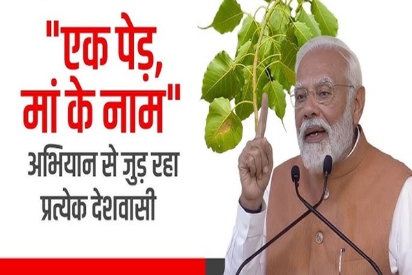 Mizoram plants over 5 lakh saplings under ‘Ek Ped Maa Ke Naam’ campaign