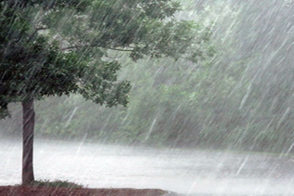 IMD issues orange alert for 4 districts in Kerala