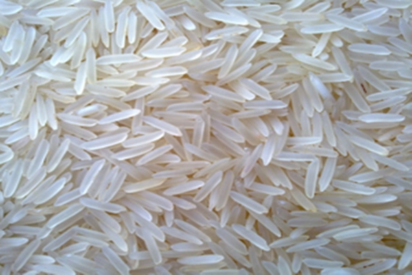 Scientific evidence supports safety of iron-fortified rice for all individuals: Centre