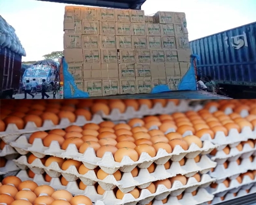 Bangladesh Receives 2.31 Lakh Eggs from India Amid Soaring Prices