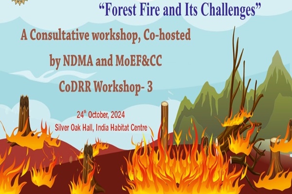 NDMA hosts workshop on Forest Fire Management