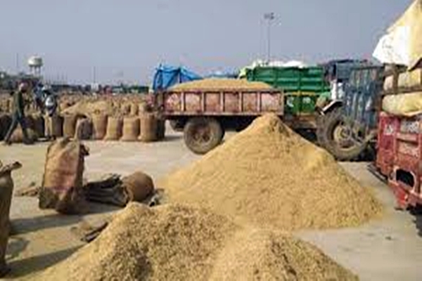Over 65 Lakh Tonnes of Paddy Procured in Punjab; Rs12,200 Crore Released to Farmers’ Accounts