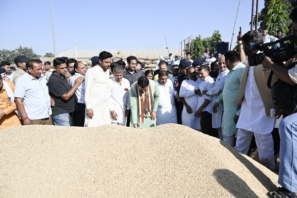 Haryana: Nayab Singh Saini Reviews Paddy Purchase at Kurukshetra Grain Markets