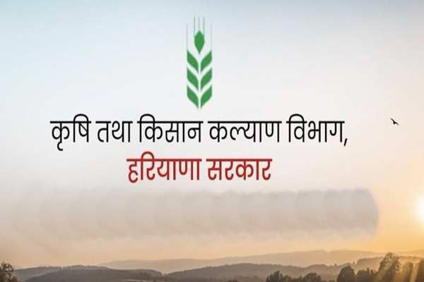 Haryana Govt to Provide Rs 1,000/quintal Subsidy on Wheat Seeds for Farmers