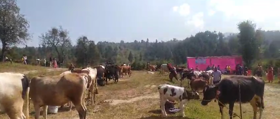 चंपावत में आंचल दुग्ध उत्पादक मेले का आयोजन