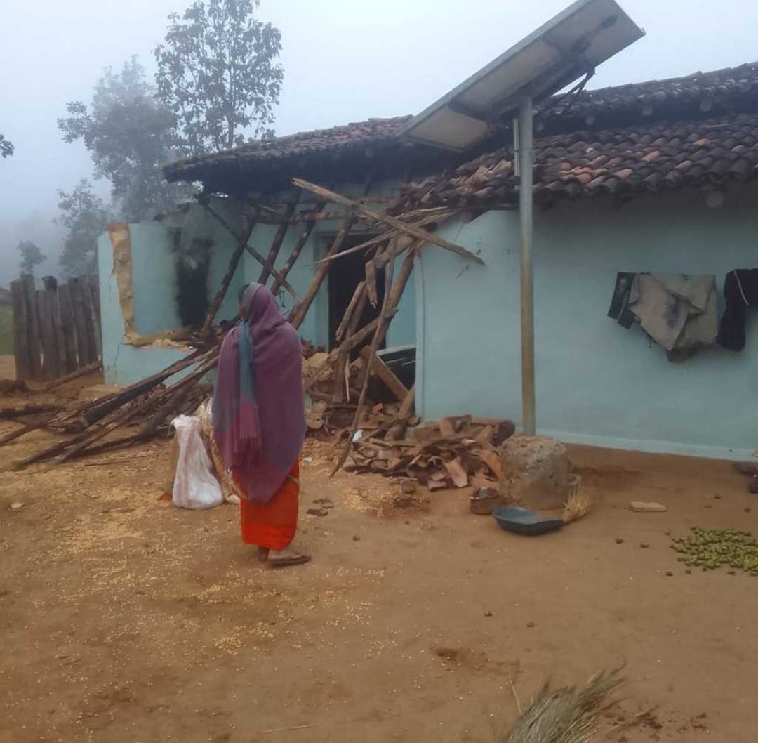 कोरबा जिले के कटघोरा वनमण्डल में बीती रात अरसिया गांव में 50 हाथियों के एक दल ने जमकर उत्पात मचाया