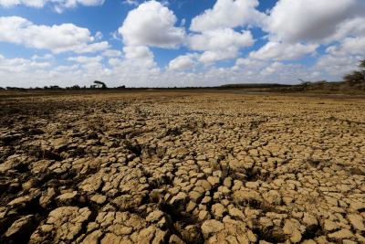 Over 65 million People Food Insecure in Horn of Africa: UN and IGAD Report