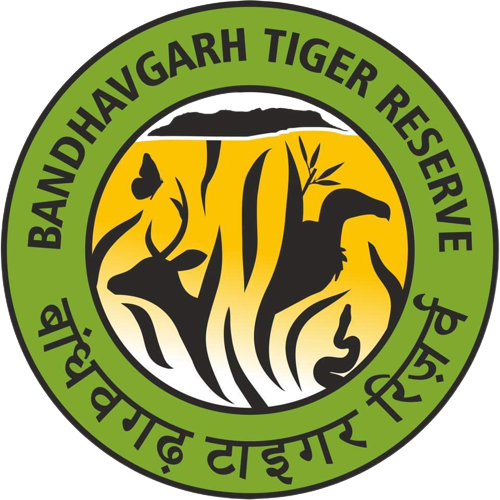 मध्य प्रदेश सरकार ने बांधवगढ़ टाइगर रिज़र्व क्षेत्र के फील्ड डायरेक्टर और सहायक वन संरक्षक को निलंबित किया