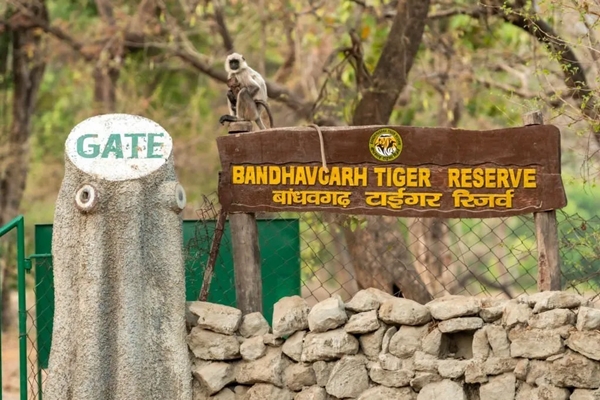 Centre initiates inquiry into deaths of 10 elephants in Bandhavgarh Tiger Reserve