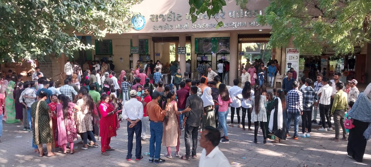 રાજકોટ પ્રદ્યુમન પાર્ક પ્રાણી સંગ્રહાલય ખાતે દિવાળીના તહેવાર નિમિતે કુલ ૫૭ હજાર ૭૮૩ અને રામવન ખાતે ૬ હજાર ૩૩૨ મુલાકાતીઓએ મુલાકાત લીધી