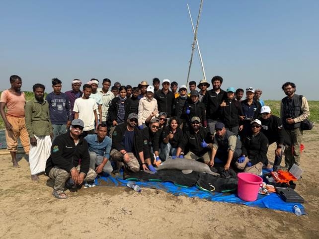 भारत ने असम में गंगा नदी डॉल्फिन टैगिंग कर वन्यजीव संरक्षण में ऐतिहासिक उपलब्धि हासिल की