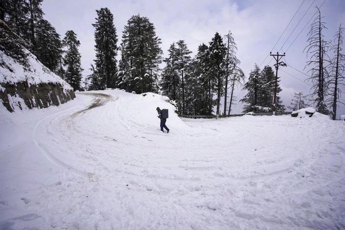 Himachal Pradesh: Snowfall & Rain Bring Cold Wave; IMD Warns of Adverse Weather Till December 29