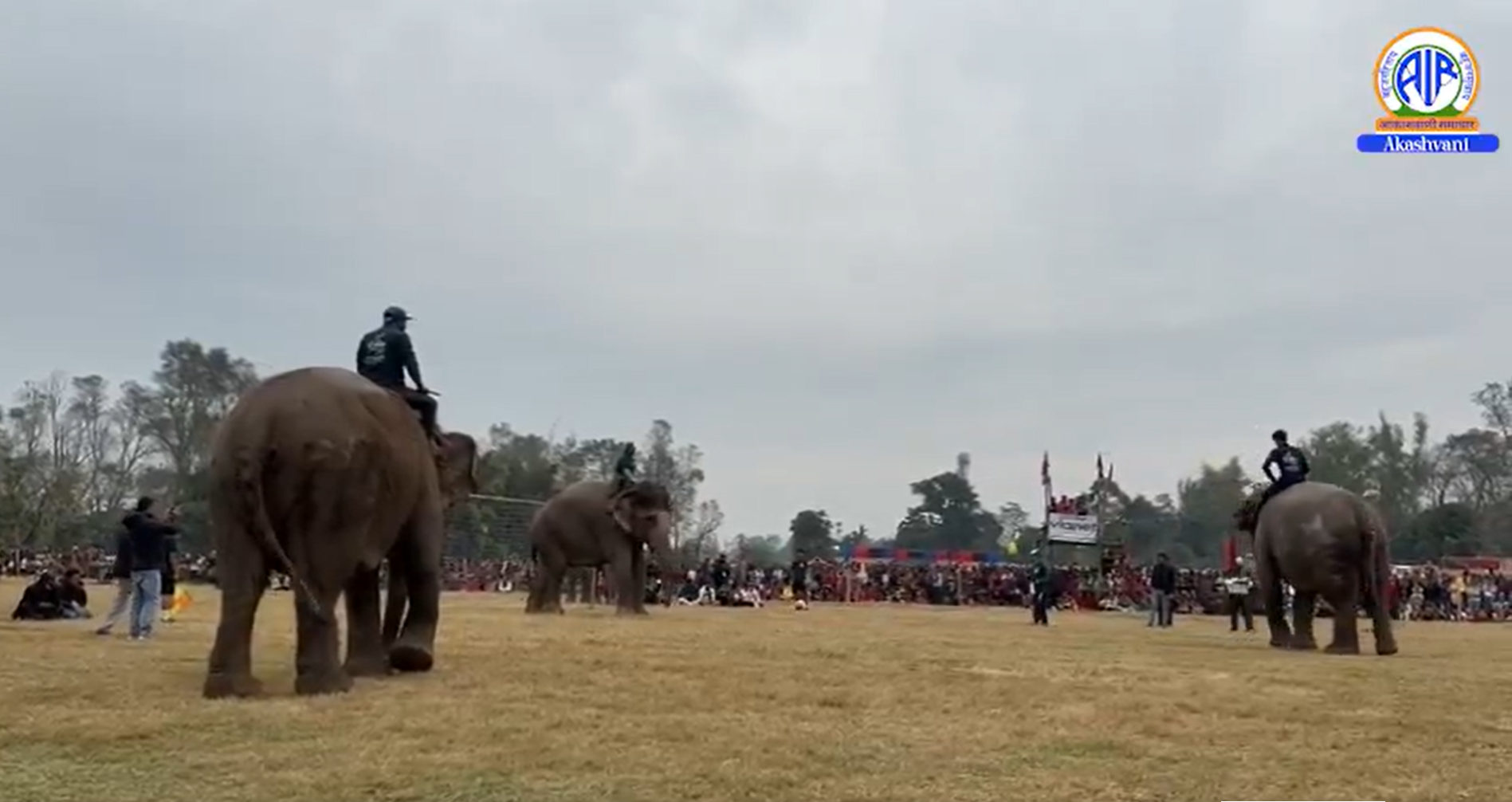 नेपाल में चितवन के सौराहा में पांच दिनों का 18वां हाथी और पर्यटन उत्‍सव
