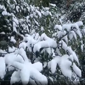 हिमाचल प्रदेश में  बर्फबारी के कारण तापमान गिरा
