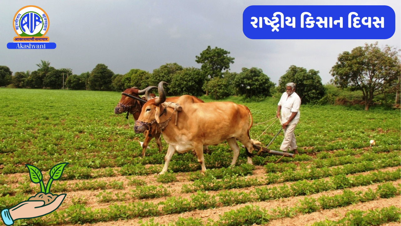 દેશના વિકાસમાં ખેડૂતોના યોગદાનને બિરદાવવા માટે આજે દેશભરમાં ખેડૂત દિવસની ઉજવણી કરવામાં આવી રહી છે