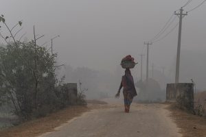 पंजाब, हरियाणा, चण्‍डीगढ़, उत्‍तर प्रदेश और राजस्‍थान में कई स्‍थानों पर रात को घना कोहरा छाये रहने की संभावना है