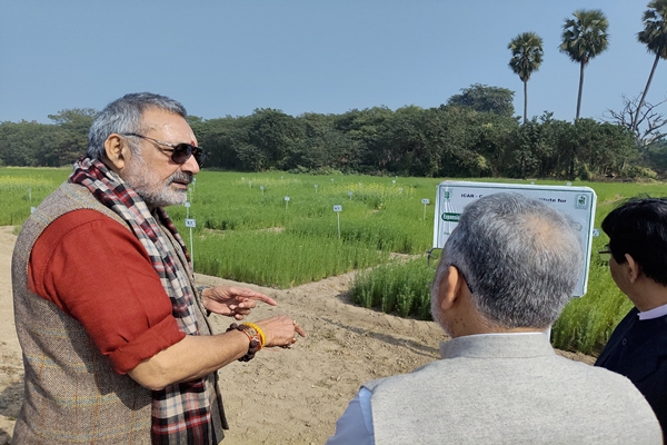 Central Government Boosts Jute Farming and Industry, Raises Jute Prices
