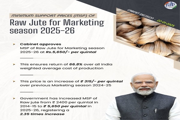 Govt decides to increase MSP by Rs 315 for raw jute; decision will benefit 40 lakh families