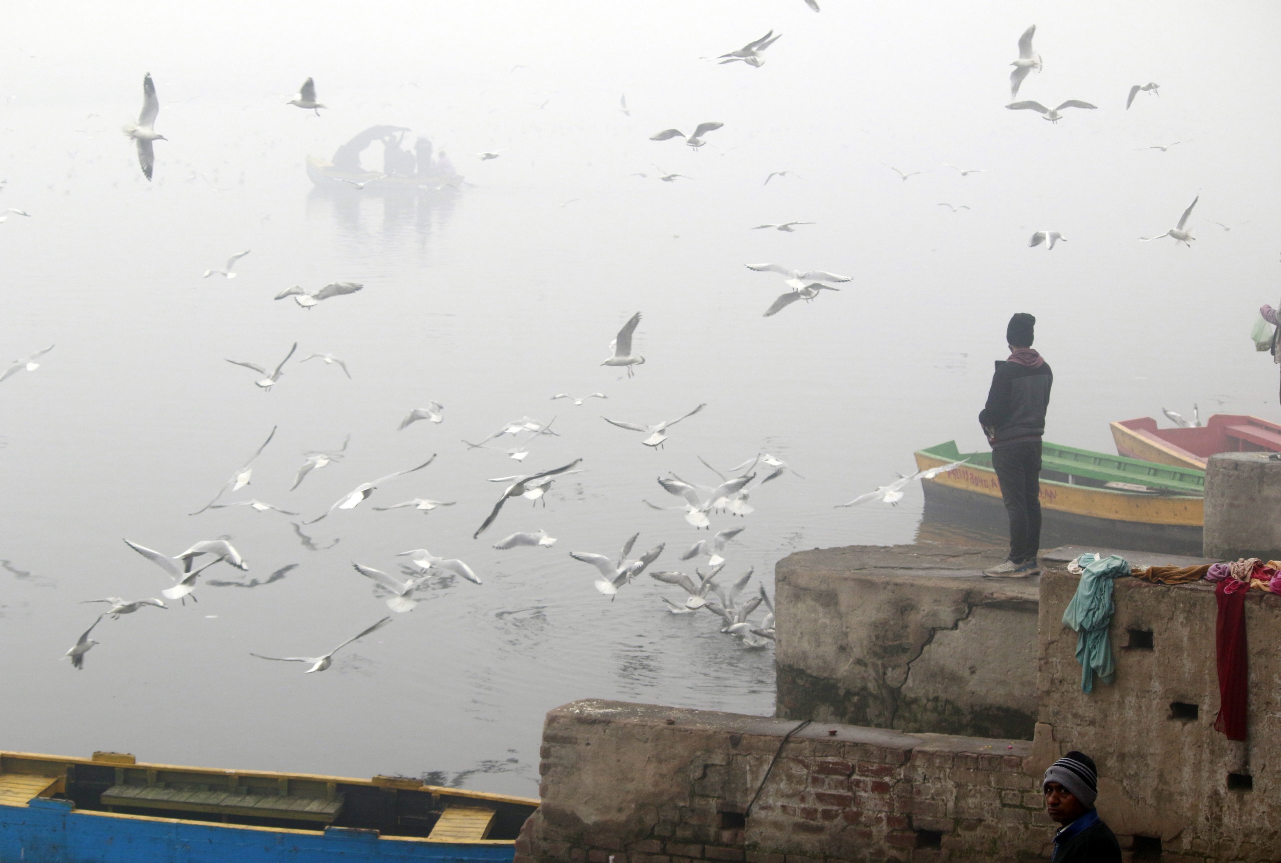 Dense fog in Delhi affects visibility