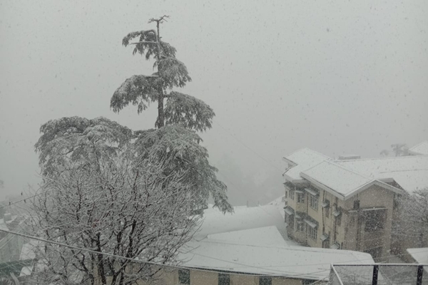 Fresh Snowfall in Himachal; Yellow Warning Issued for Thunderstorms