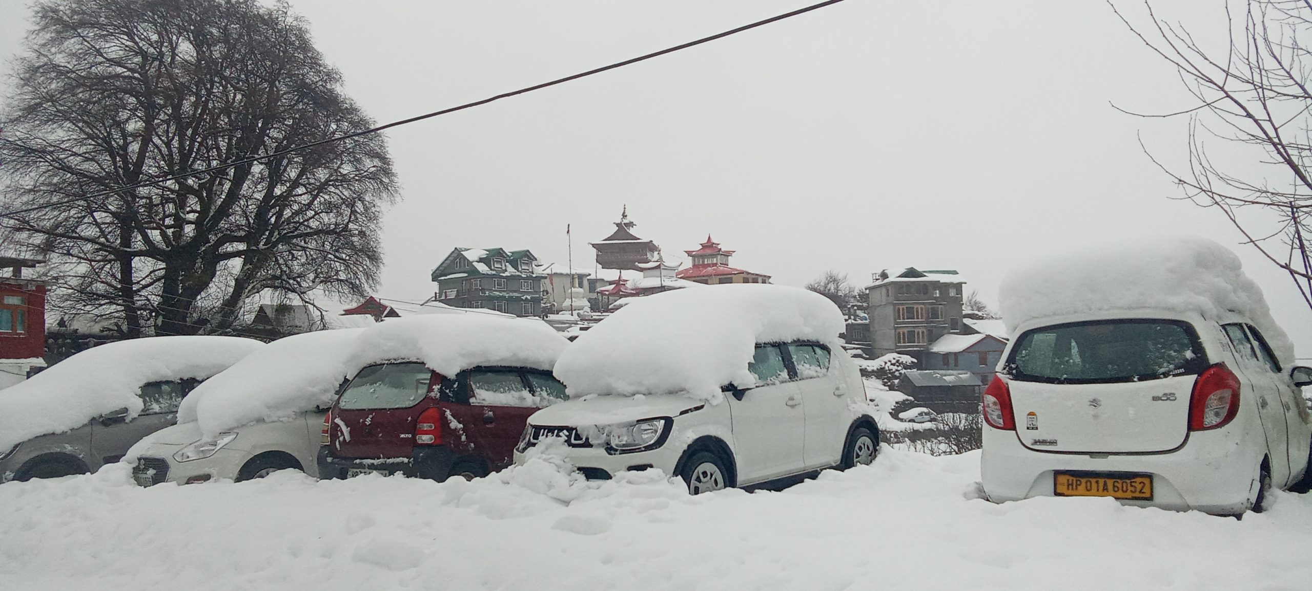 किन्नौर में शुक्रवार को लगातार तीसरे दिन भारी बर्फबारी एवं बारिश का कहर जारी