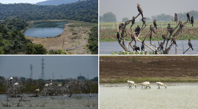 केंद्र ने की चार नए रामसर स्थलों को जोड़ने की घोषणा