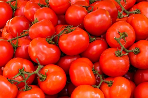 Govt Approves Market Intervention Scheme for Tomato Price Stabilization