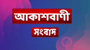 মহালয়ার দিন অস্বাভাবিক ঘটনায় মৃত একাধিক