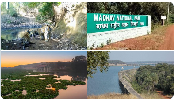 Madhya Pradesh’s Madhav National Park has became the country’s 58th Tiger Reserve: Bhupender Yadav