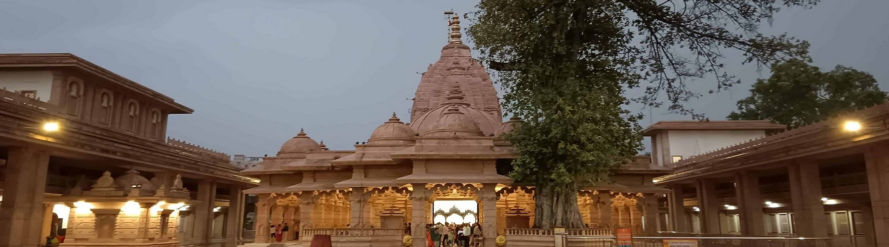 Maharashtra: ‘Patanjali Mega Food and Herbal Park’ to be inaugurated in MIHAN area of Nagpur