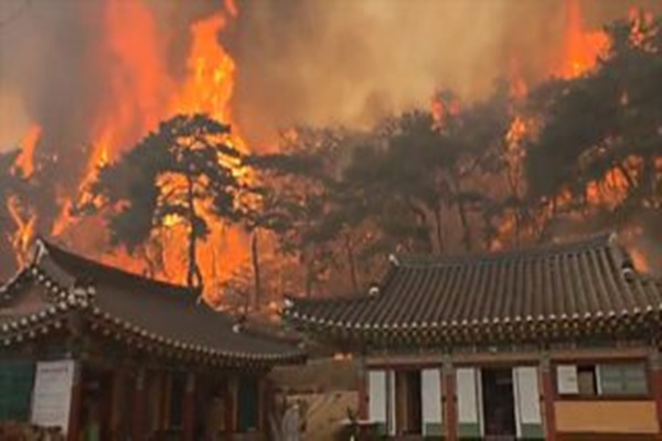 جنوبی کوریا کے جنوب مشرقی خطے میں کئی علاقوں میں جنگل کی آگ سے تباہی کا سلسلہ جاری ہے اور کم از کم 24 افراد مارے گئے ہیں