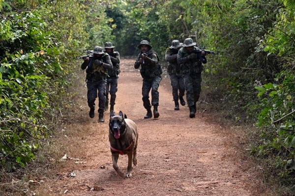 CRPF to raise 11th CoBRA battalion for counter-terror operations in J&K