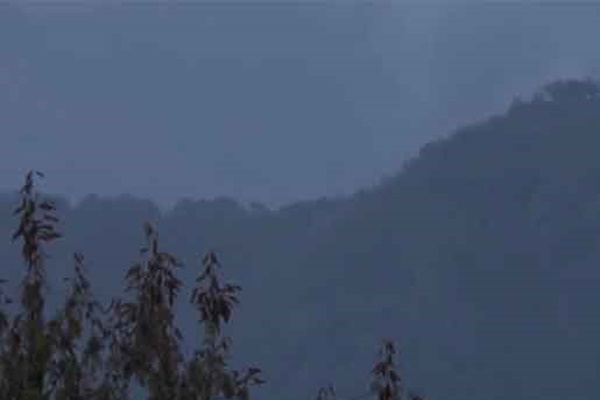 Pakistan violates ceasefire at LoC, Indian forces retaliate
