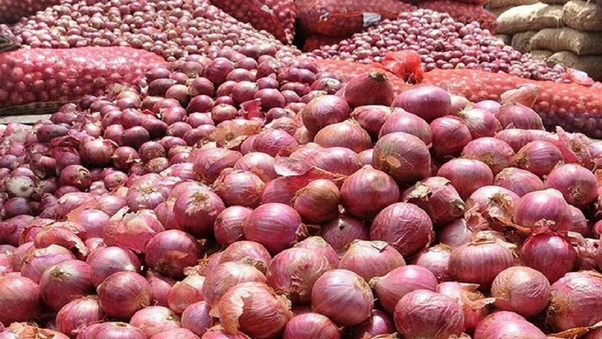 नाशिकमध्ये कांद्याच्या दरात घसरण