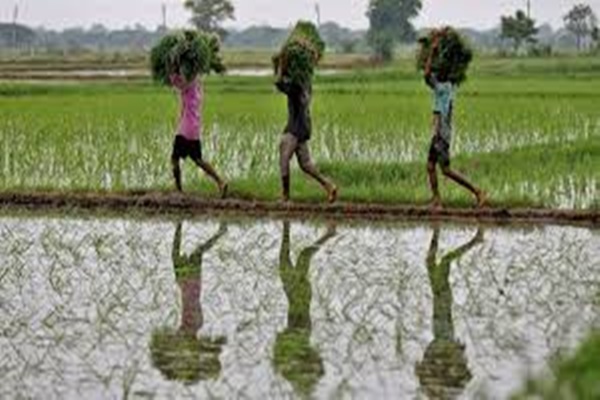 India set for above normal monsoon, boost for Agriculture and rural livelihood