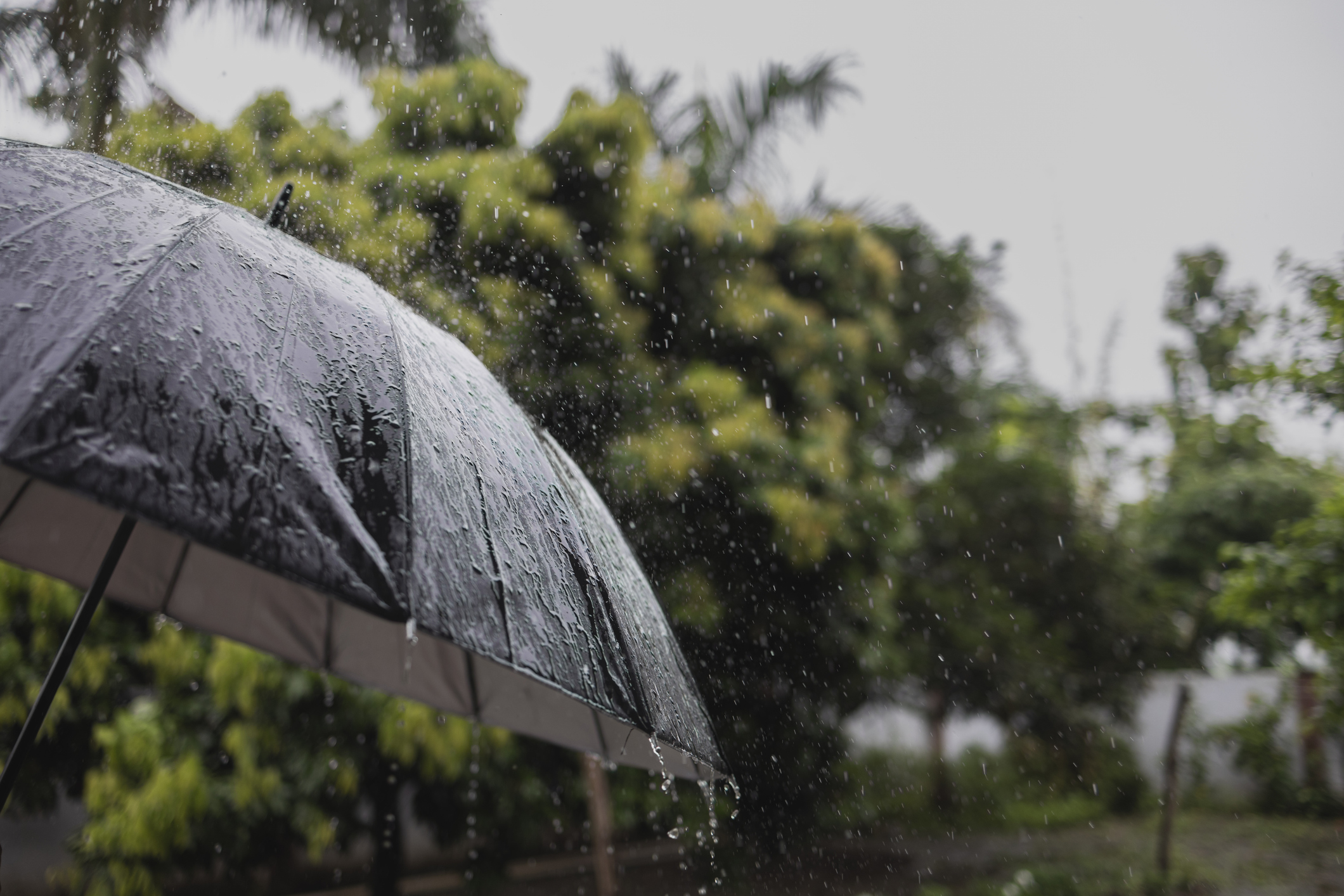 IMD forecasts widespread showers likely across India over next 5 days