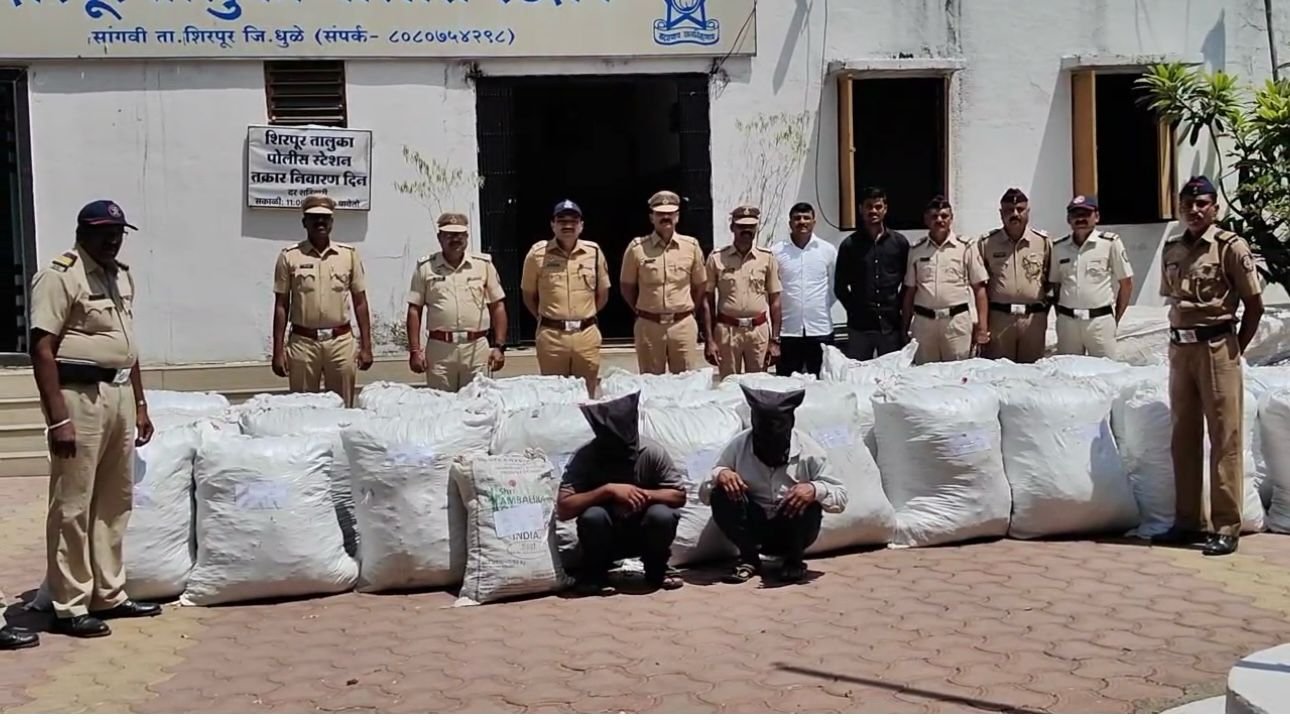 धुळ्यात ७० लाख रुपयांचा गांजा जप्त