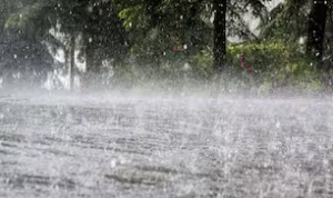 महाराष्ट्र के कई क्षेत्र जैसे कोकण, विदर्भ, मध्य महाराष्ट्र और मराठवाड़ा में बारिश का सिलसिला जारी