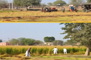 Centre starts process to move border fencing in Punjab near zero line