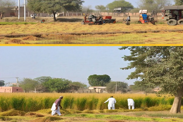 Border villages in Punjab on high alert  in case of cross border disturbance