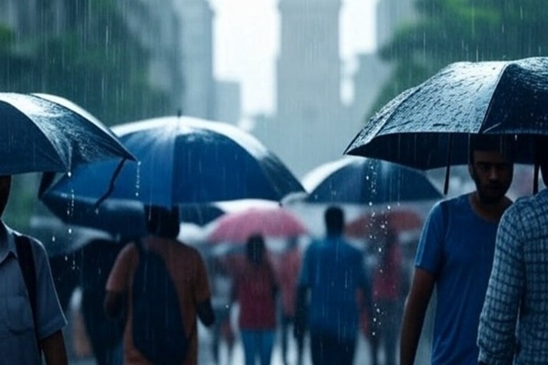 Various districts of Maharashtra experience heavy rainfall, normal life affected