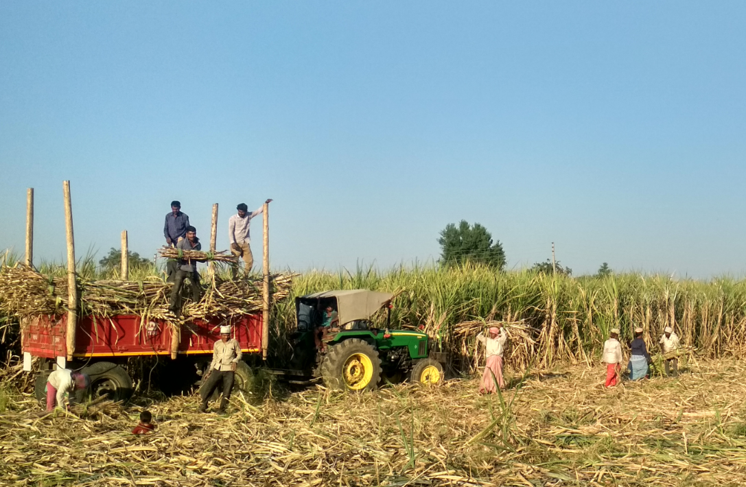 साखर उद्योगाला नियंत्रित करणारी नियामक चौकट सोपी होणार…