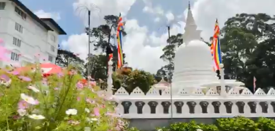 श्रीलंका बौद्ध कैलेंडर के सबसे पवित्र दिन वेसाक पोया और नुवारा एलिया में राज्य वेसाक उत्सव मना रहा है