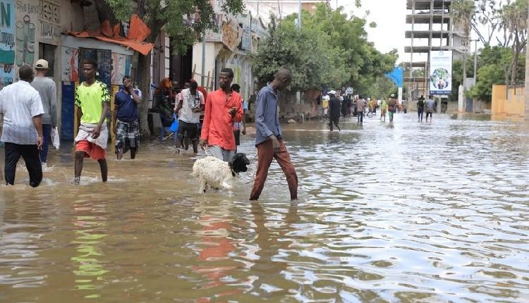 17 killed in flash floods in Somalia