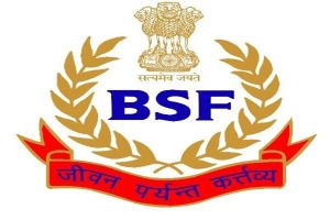 सरकार ने सीमा सुरक्षा बल के ग्रुप बी और सी के कर्मचारियों की पहली कैडर समीक्षा को मंजूरी दे दी है