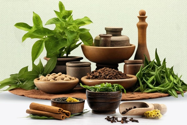 Govt declares 23rd September as Ayurveda Day
