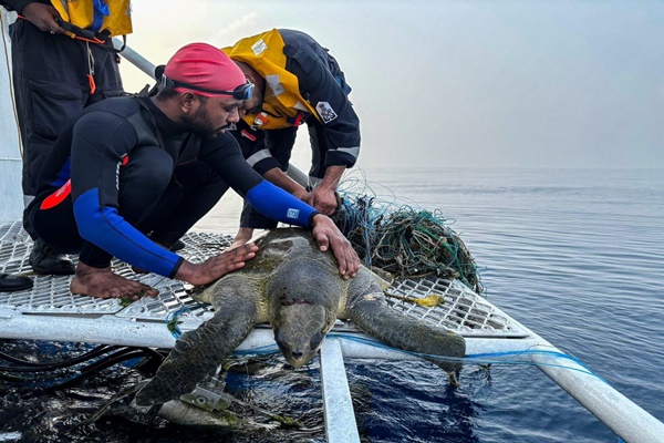 Coast Guard’s ‘Operation Olivia’ shields 8-lakh olive Ridley turtles on Odisha’s Gahirmatha coast